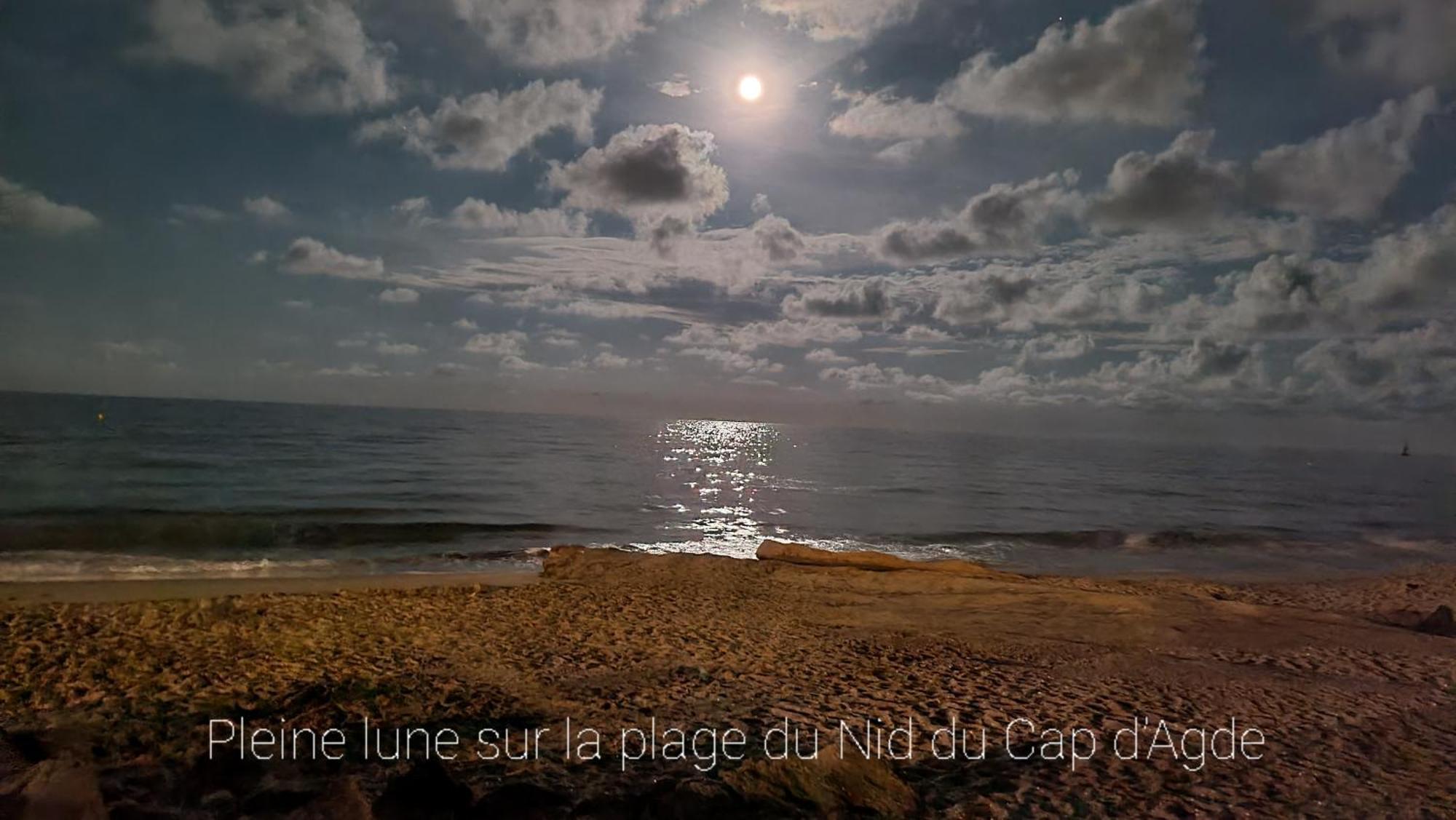 Residence De Standing La Pecherie Spacieux T3 Comme Un Cocon Familial Vue Mer Et Sur L'Avant Port Sur Le Bout Du Bout De Cap D'Agde Seule Cap En Occitanie Exterior foto